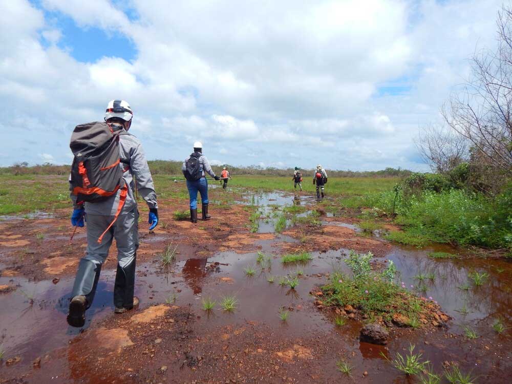 Foto de pessoas andando sobre terra alagada em busca de água subterranea